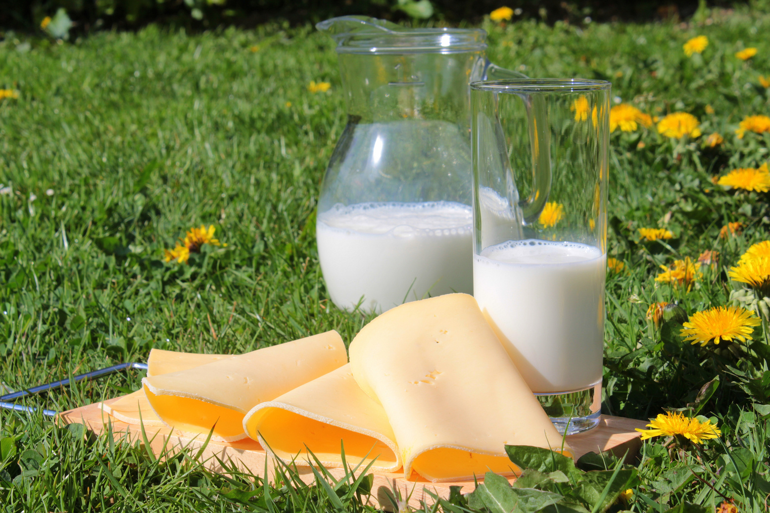 Glasses of Milk in the Meadow